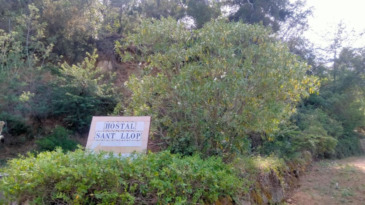 New Sant Llop Estalagem